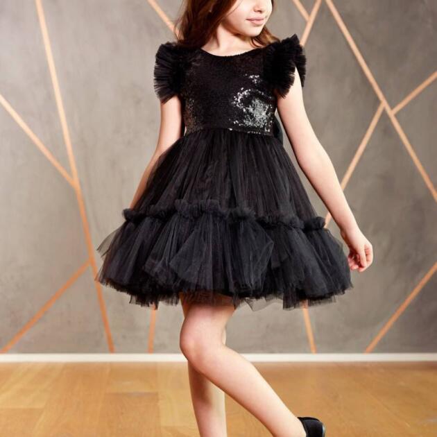 Celine Black Tulle Dress Embroidered with sequins